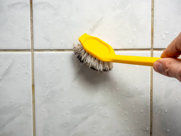 Best Mold Remediation for Specific Building Types in Briarcliff, TX