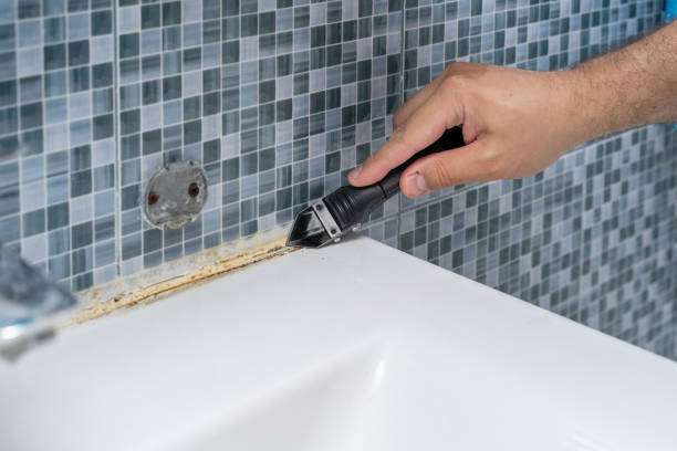 Best Kitchen Mold Remediation in Briarcliff, TX