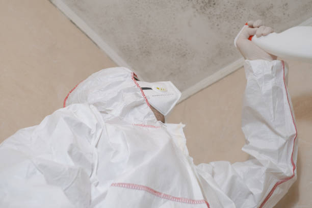Best Residential Mold Remediation in Briarcliff, TX