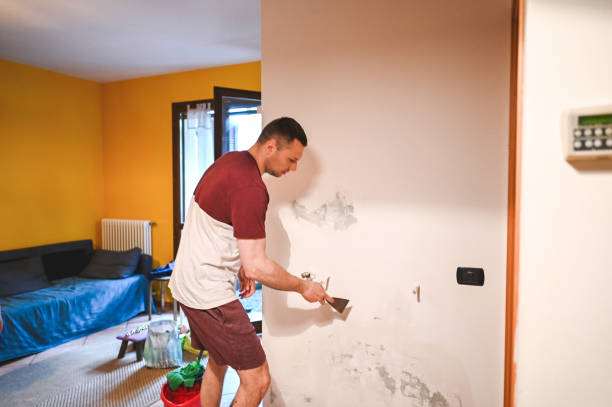 Best Crawl Space Mold Remediation in Briarcliff, TX
